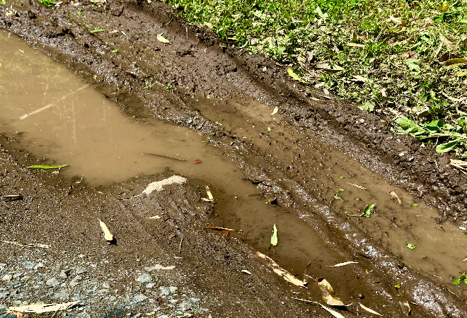 所有する田んぼにタイヤ痕とエンジンオイル…原因不明の被害相談|50代男性からの調査相談